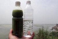 安徽巢湖水样(左)与饮用水对比